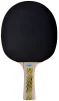 Ракетка для настільного тенісу Donic-Schildkrot Legends 500 FSC - 2