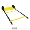 Координационная лестница LiveUp AGILITY LADDER (LS3671-4) - 1
