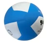 М'яч волейбольний Gala Pro-Line BV5576S - 2