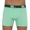 Труси-боксери Puma ACTIVE BOXER PRINT 2P зелений, чорний Чол M - 5