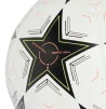 Футбольний м'яч adidas UCL Training IX4062 №5 - 4