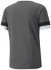 Футболка Puma teamRISE Jersey сірий Чол XXL - 2