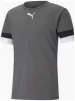 Футболка Puma teamRISE Jersey сірий Чол M - 1