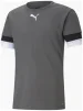 Футболка Puma teamRISE Jersey сірий Чол XXL - 1