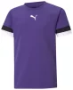 Футболка Puma teamRISE Jersey Jr фіолетовий Діт 140 см - 1