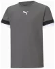 Футболка Puma teamRISE Jersey Jr сірий Діт 140 см - 1