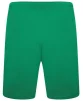 Шорти Puma teamRISE Short зелений Чол XXL - 3