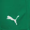 Шорти Puma teamRISE Short зелений Чол XXL - 4