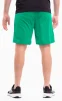 Шорти Puma teamRISE Short зелений Чол XXL - 8