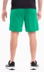 Шорти Puma teamRISE Short зелений Чол L - 8