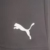 Шорти Puma teamRISE Short сірий Чол L - 6