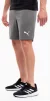 Шорти Puma teamRISE Short сірий Чол L - 9