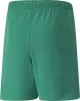 Шорти Puma teamRISE Short Jr зелений дитячий 116 см (704943-05) - 2