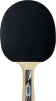Ракетка для настільного тенісу Donic Legends Siler FSC - 2