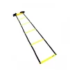 Координационная лестница LiveUp AGILITY LADDER (LS3671-4) - 10