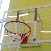 Баскетбольний щит 900х680 мм дитячий з оргскла SS00428 - 1