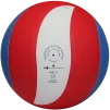 М'яч волейбольний Gala Pro-Line BV5821S - 2