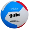 М'яч волейбольний Gala Training BV5565S - 1