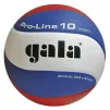 М'яч волейбольний Gala Pro-Line 10 BV5581S - 3