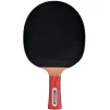 Ракетка для настольного тенниса Donic-Schildkrot Waldner 1000 (751801S) - 7