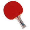 Ракетка для настільного тенісу Joola Danny Action (63831) - 2