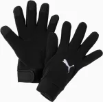 Рукавички Puma teamLIGA 21 Winter gloves чорний L/XL (041706-01)