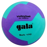 М'яч волейбольний Gala Soft 170 BV5685S