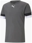 Футболка Puma teamRISE Jersey сірий XXXL (704932-13)