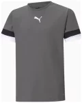 Футболка Puma teamRISE Jersey Jr сірий Діт 140 см