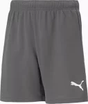 Шорти Puma teamRISE Short Jr сірий дитячий 116 см (704943-13)