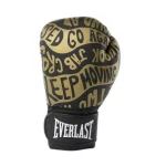 Боксерські рукавиці Everlast SPARK TRAINING GLOVE чорний, золотий Уні 10 унцій