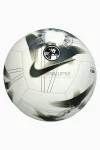 Футбольний м'яч Nike Premier League Pitch FB2987-106 розмір 5