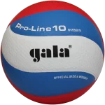 М'яч волейбольний Gala Pro-Line 10 BV5581S