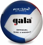 М'яч волейбольний Gala Pro-Line 12 FIVB BV5595S