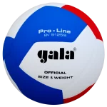 М'яч волейбольний Gala Pro-Line BV5125S