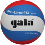 М'яч волейбольний Gala Pro-Line BV5821S