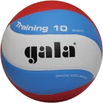 М'яч волейбольний Gala Training 10 BV5561S