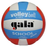 М'яч волейбольний Gala School Foam Colour BV5511S