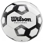 М'яч футбольний Wilson Pentagon white/black size 5 (WTE8527XB05)