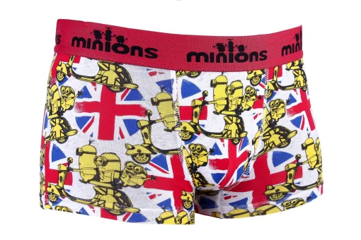Труси-боксери MinionS ROUGE - SCOOTER сірий Чол 8-10