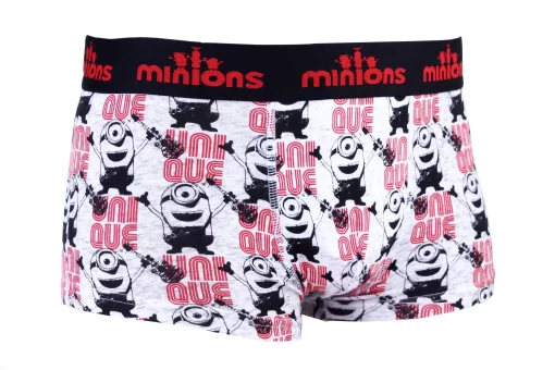 Труси-боксери MinionS Minion + GUITARE сірий Чол L