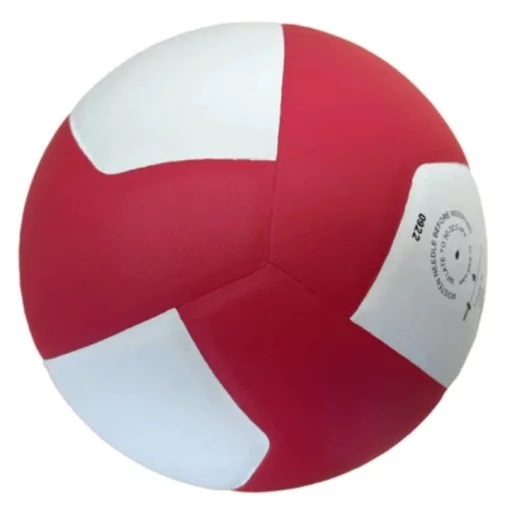 М'яч волейбольний Gala Pro-Line BV5576S