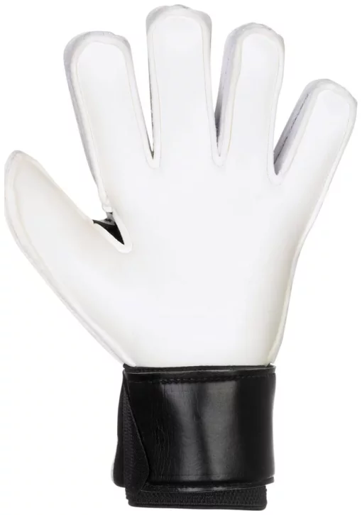 Рукавички воротарські Select GOALKEEPER GLOVES 03 YOUTH v25 чорний, білий Діт 4 (15,5 см)