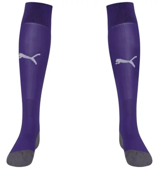 Гетри Puma Team LIGA Socks CORE бузковий Уні 31-34