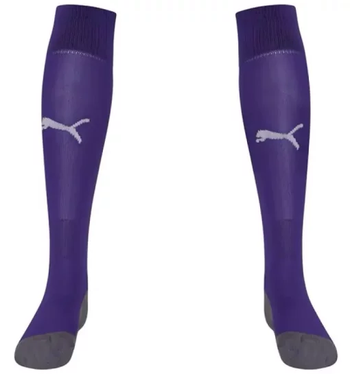 Гетри Puma Team LIGA Socks CORE бузковий Уні 35-38