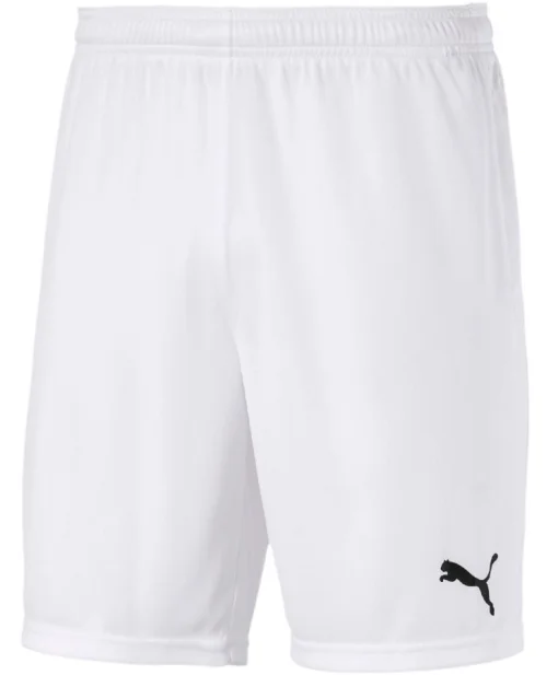 Шорти Puma teamGOAL 23 knit Shorts білий Чол M