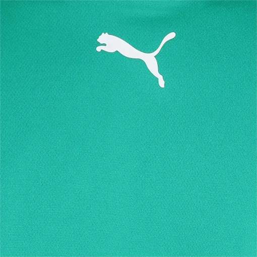 Футболка Puma teamRISE Jersey зелений Чол M