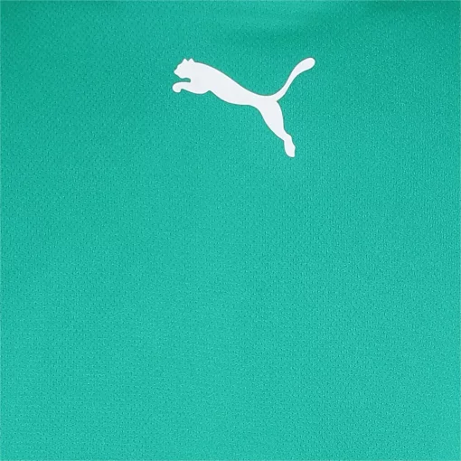 Футболка Puma teamRISE Jersey зелений Чол L
