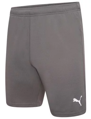 Шорти Puma teamRISE Short сірий Чол L