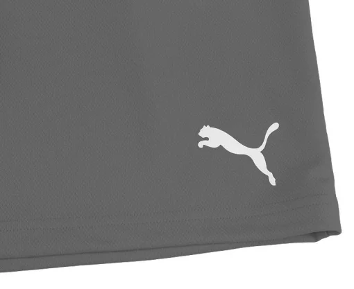Шорти Puma teamRISE Short сірий Чол L